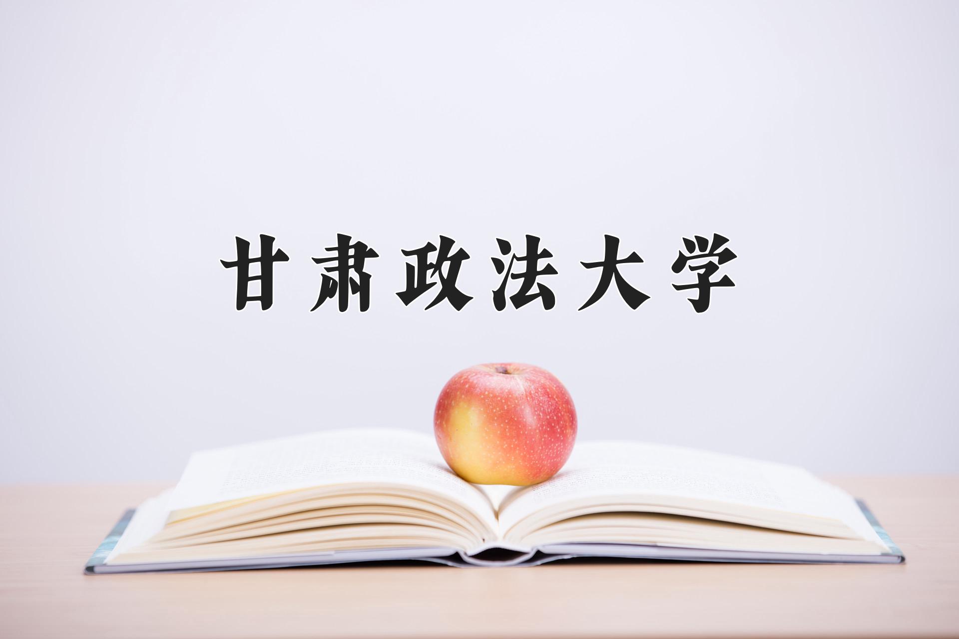 甘肃政法大学