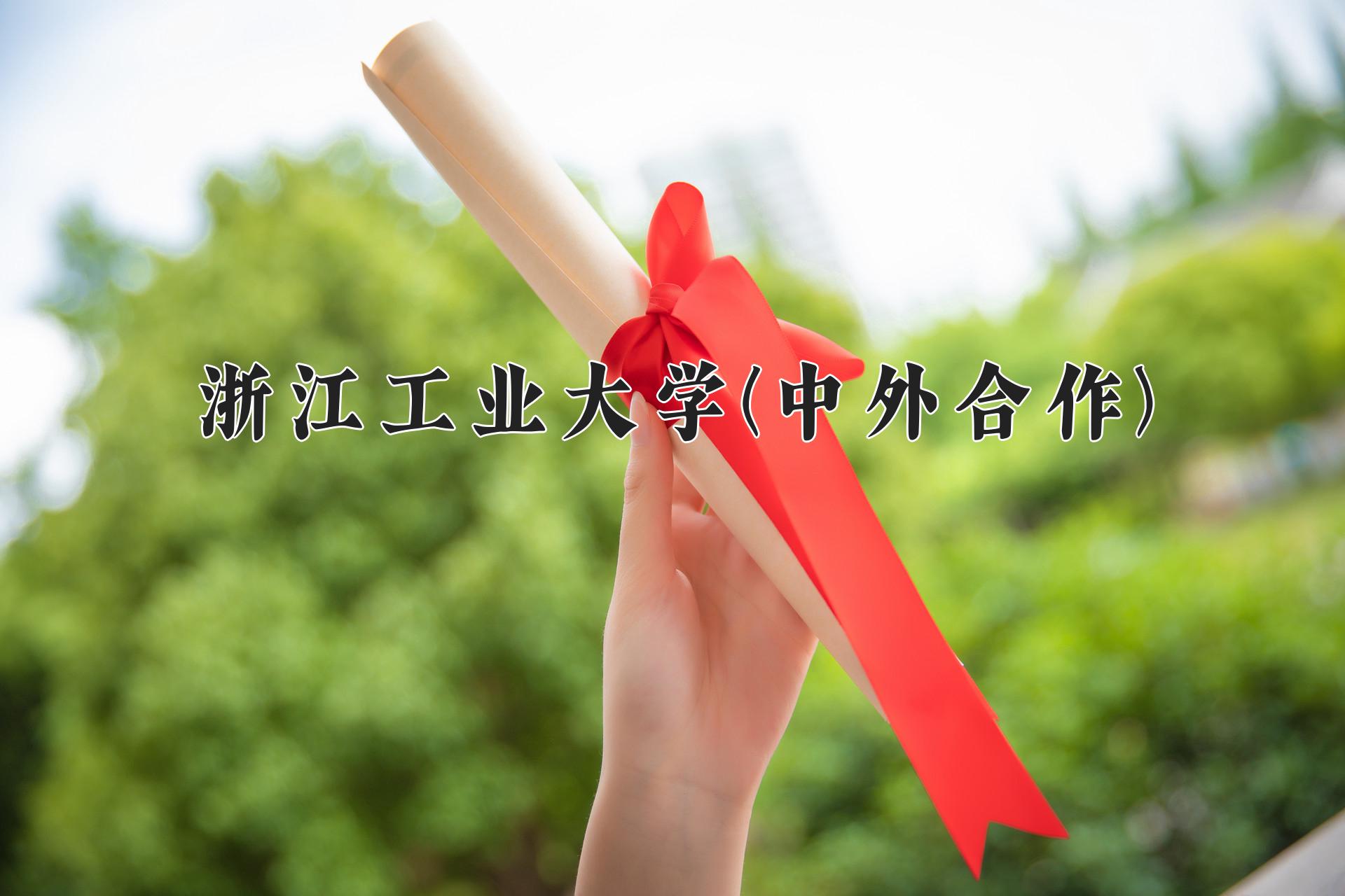 浙江工业大学(中外合作)