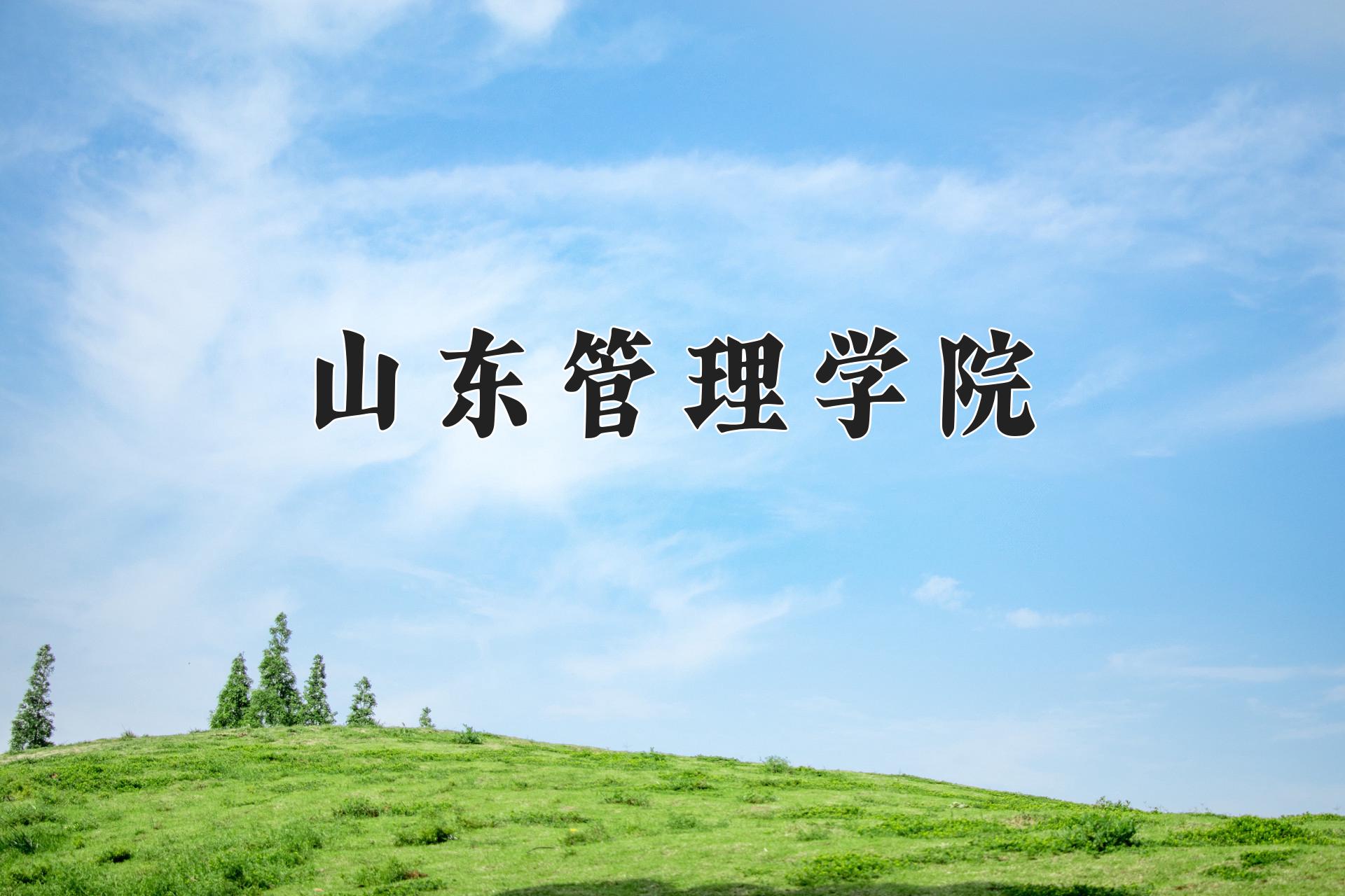 山东管理学院