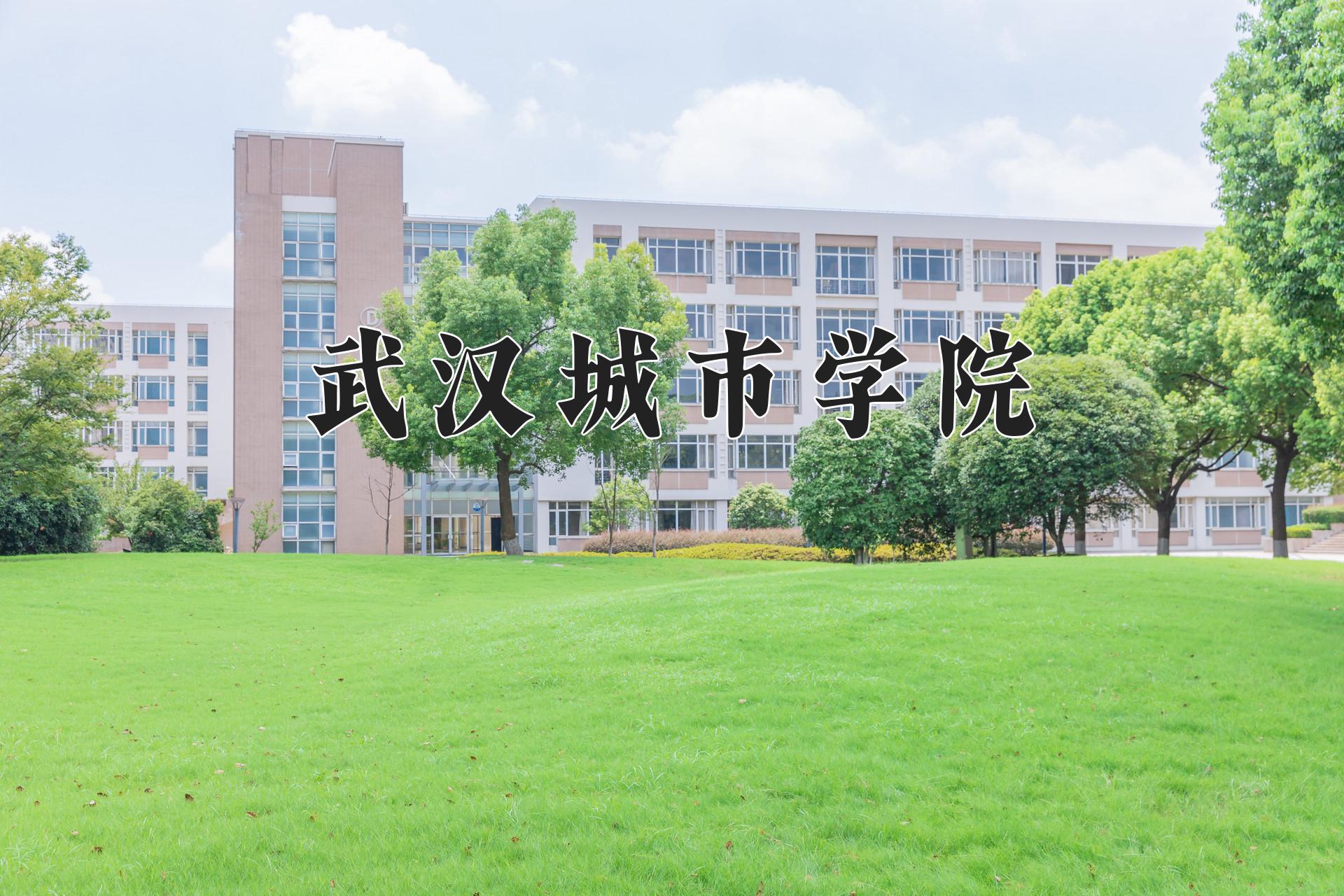 武汉城市学院