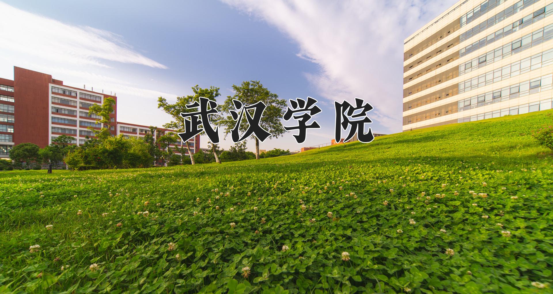 武汉学院