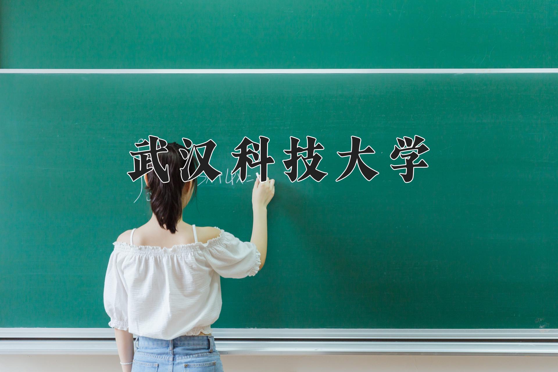 武汉科技大学