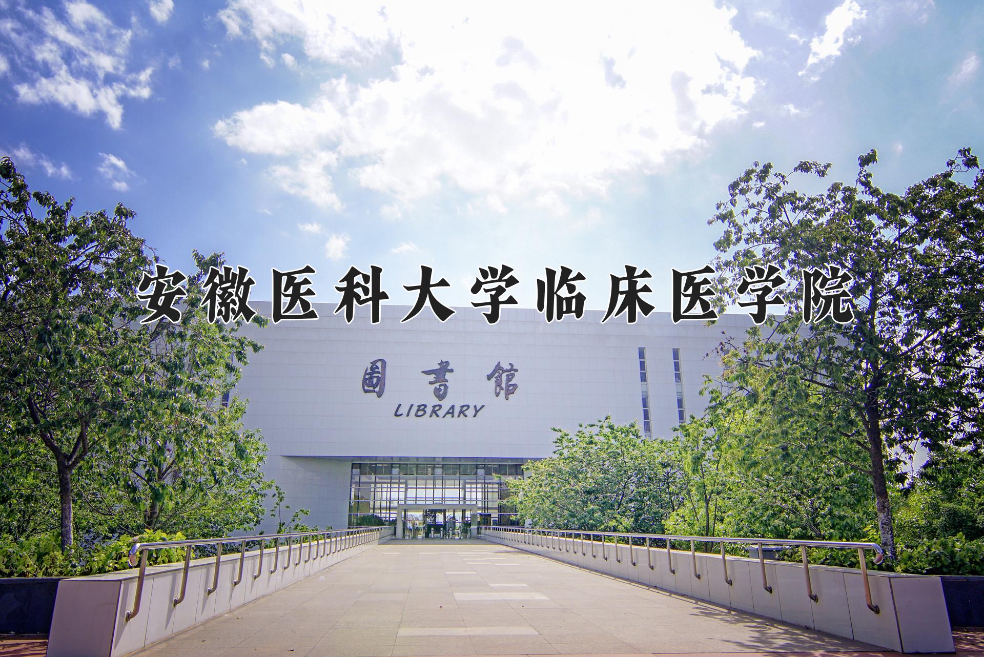 安徽医科大学临床医学院