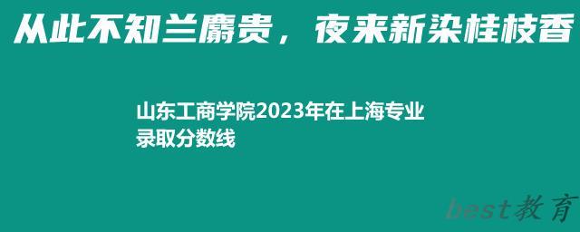 山东工商学院2024年高考在上海专业录取分数线