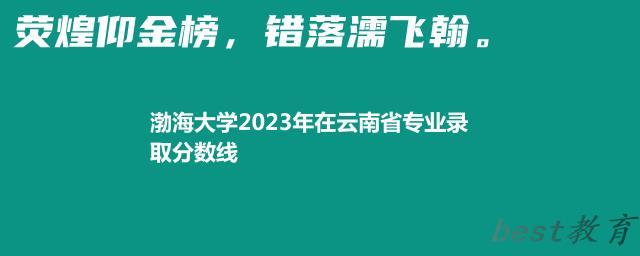 渤海大学2024年高考在云南省专业最低分和最高分