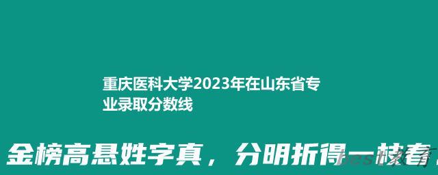 重庆医科大学2023年在山东省专业录取分数线