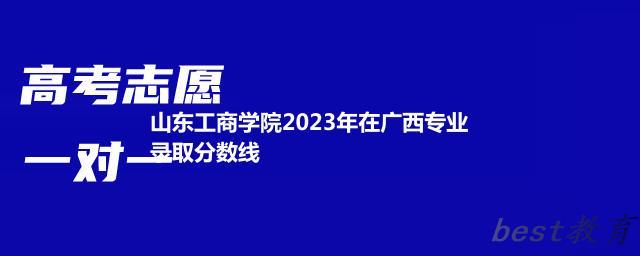 山东工商学院2024年高考在广西专业录取分数线