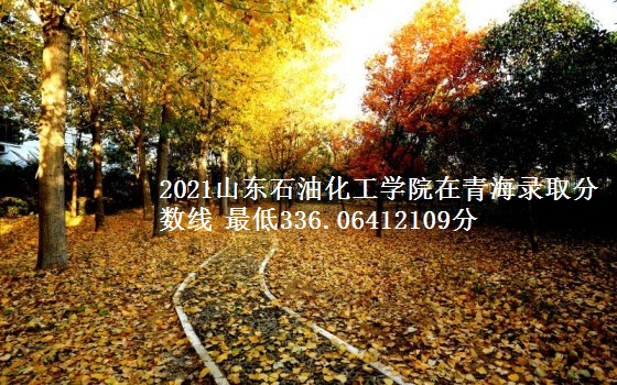 2021山东石油化工学院在青海录取分数线 最低336.06412109分