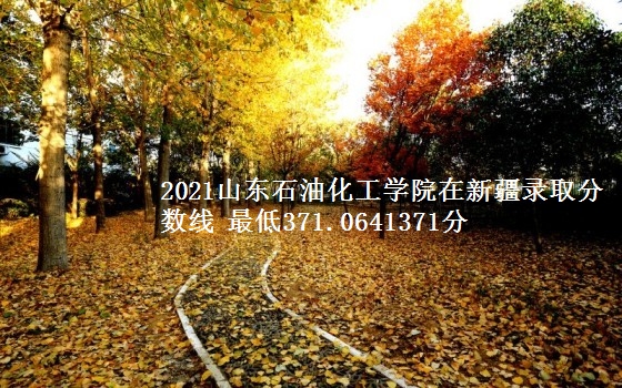 2021山东石油化工学院在新疆录取分数线 最低371.0641371分