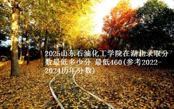 2025山东石油化工学院在湖北录取分数最低多少分 最低460(参考2022-2024历年分数)