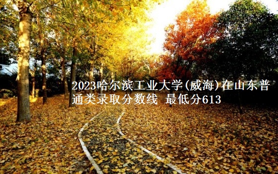 2023哈尔滨工业大学(威海)在山东普通类录取分数线 最低分613