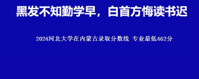 2024河北大学在内蒙古录取分数线 专业最低462分