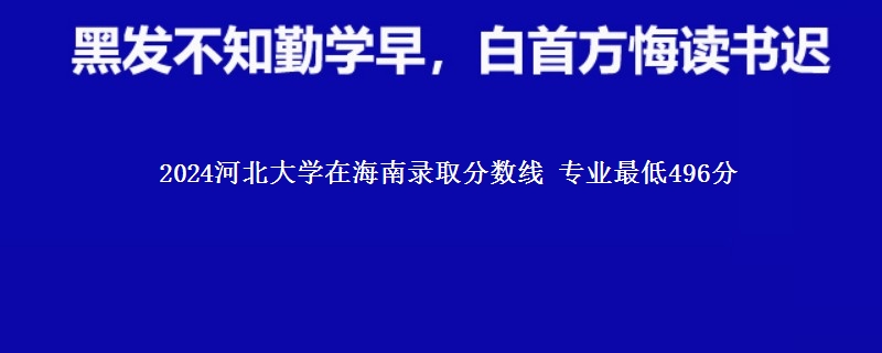 2024河北大学在海南录取分数线 专业最低496分