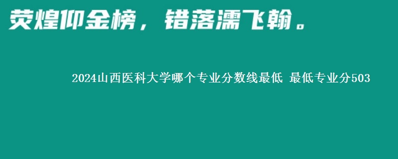 2024山西医科大学在湖南录取分数线 最低专业分503