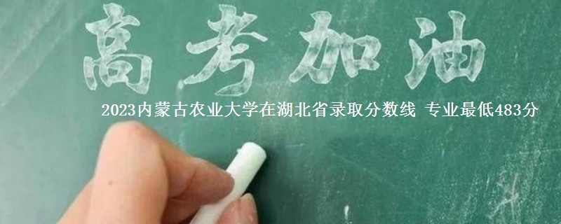 2023内蒙古农业大学在湖北省录取分数线 专业最低483分