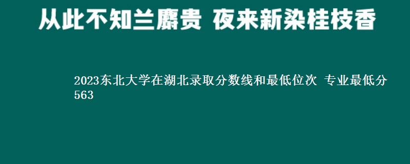 2023东北大学在湖北录取分数线和最低位次 专业最低分563