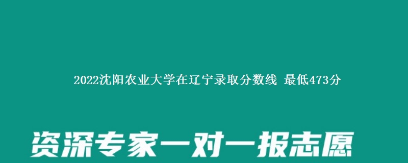 2022沈阳农业大学在辽宁录取分数线 最低473分