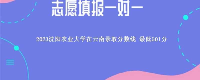 2023沈阳农业大学在云南录取分数线 最低501分