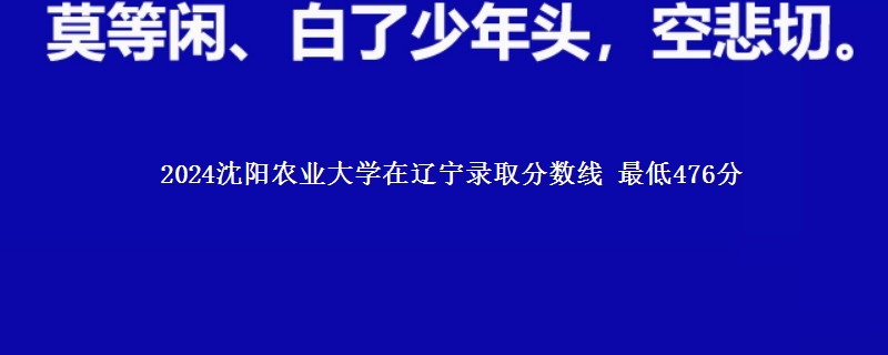 2024沈阳农业大学在辽宁录取分数线 最低476分