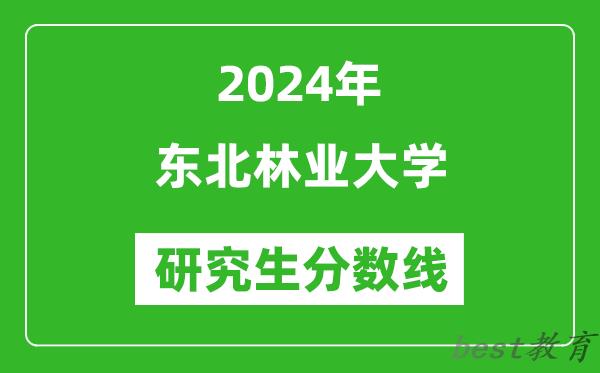 2024年东北林业大学研究生分数线一览表（含2023年历年）