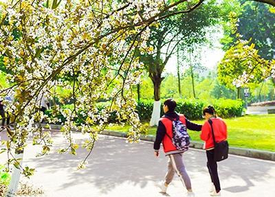 武汉江夏卫生学校